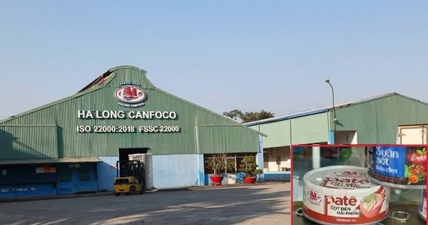 Nóng: Bắt khẩn cấp Tổng Giám đốc Đồ hộp Hạ Long