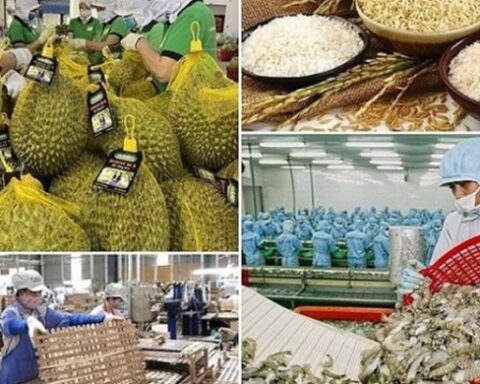 Hướng tới mục tiêu xuất khẩu nông, lâm, thủy sản năm 2026 là 73 – 74 tỷ USD