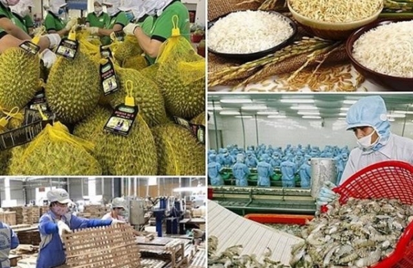 Hướng tới mục tiêu xuất khẩu nông, lâm, thủy sản năm 2026 là 73 – 74 tỷ USD