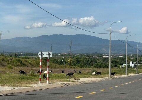 Đà Nẵng: Đẩy nhanh tiến độ đầu tư hạ tầng cụm công nghiệp, tránh lãng phí nguồn lực