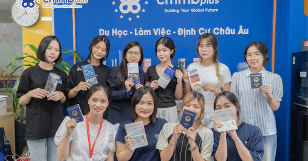 Các chương trình du học đại học, thạc sĩ, dịch vụ visa tại CMMB Plus