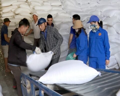 Xuất cấp hơn 920 tấn gạo dự trữ quốc gia hỗ trợ nhân dân tỉnh Lạng Sơn, Tuyên Quang dịp Tết Nguyên đán