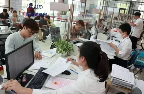 Từ 1/7, dùng số định danh cá nhân cho hồ sơ cán bộ, công chức