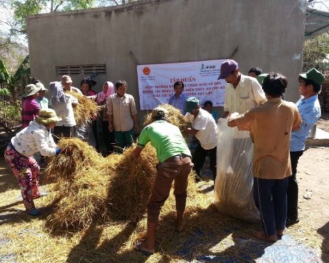 Việt Nam và IFAD ký kết hiệp định tài trợ trị giá 67,43 triệu USD