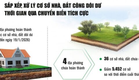 Thêm nhiều cơ sở nhà, đất dôi dư được sắp xếp, xử lý đúng quy định