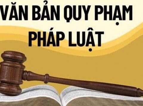 Bộ Tài chính công bố 174 danh mục văn bản quy phạm pháp luật đã hết hiệu lực toàn bộ