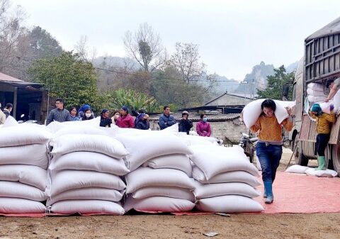 Hoàn thành xuất cấp hơn 810 tấn gạo hỗ trợ nhân dân tỉnh Cao Bằng dịp Tết Nguyên đán 2026