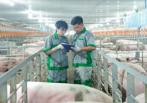 BAF vững vàng trước biến động, hướng tới kỷ lục lợi nhuận năm 2026