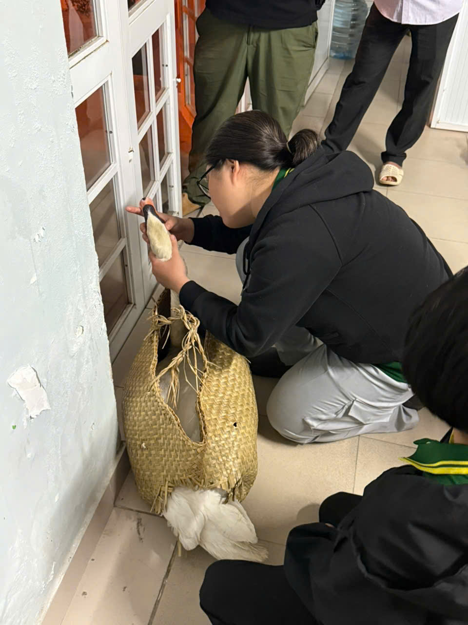 Đối tượng trộm thiên nga trắng ở Thảo Cầm Viên Sài Gòn khai gì?- Ảnh 3.