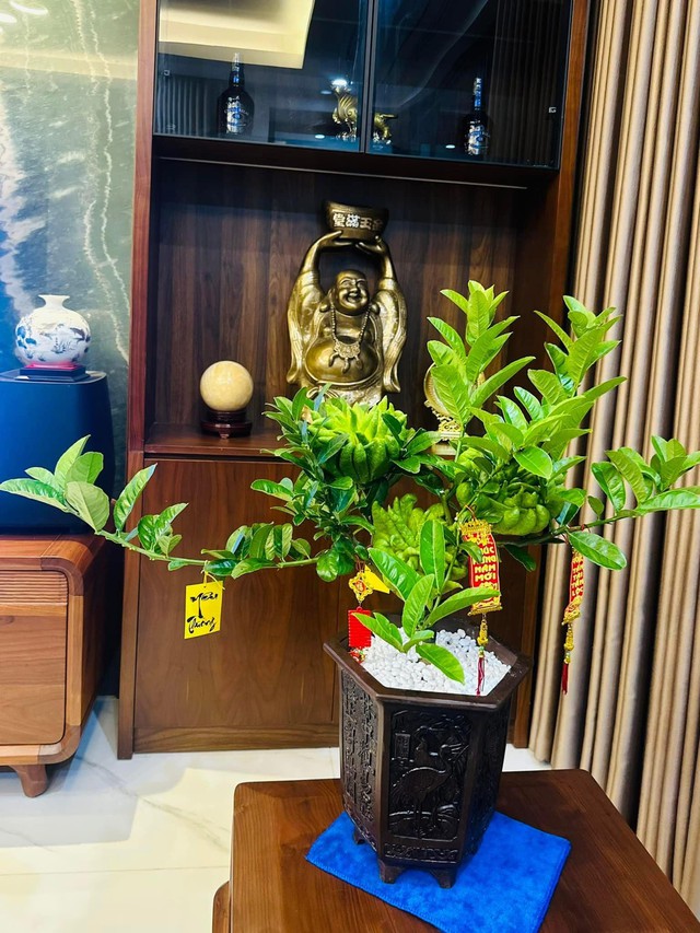 Nhà trồng 3 loại cây này chẳng khác rước Nhà trồng 3 loại cây này chẳng khác rước