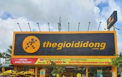 Bất ngờ vốn điều lệ của Thế giới Di động