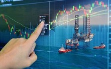 Nhóm cổ phiếu dầu khí 