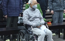 Cựu tổng giám đốc VICEM nói 