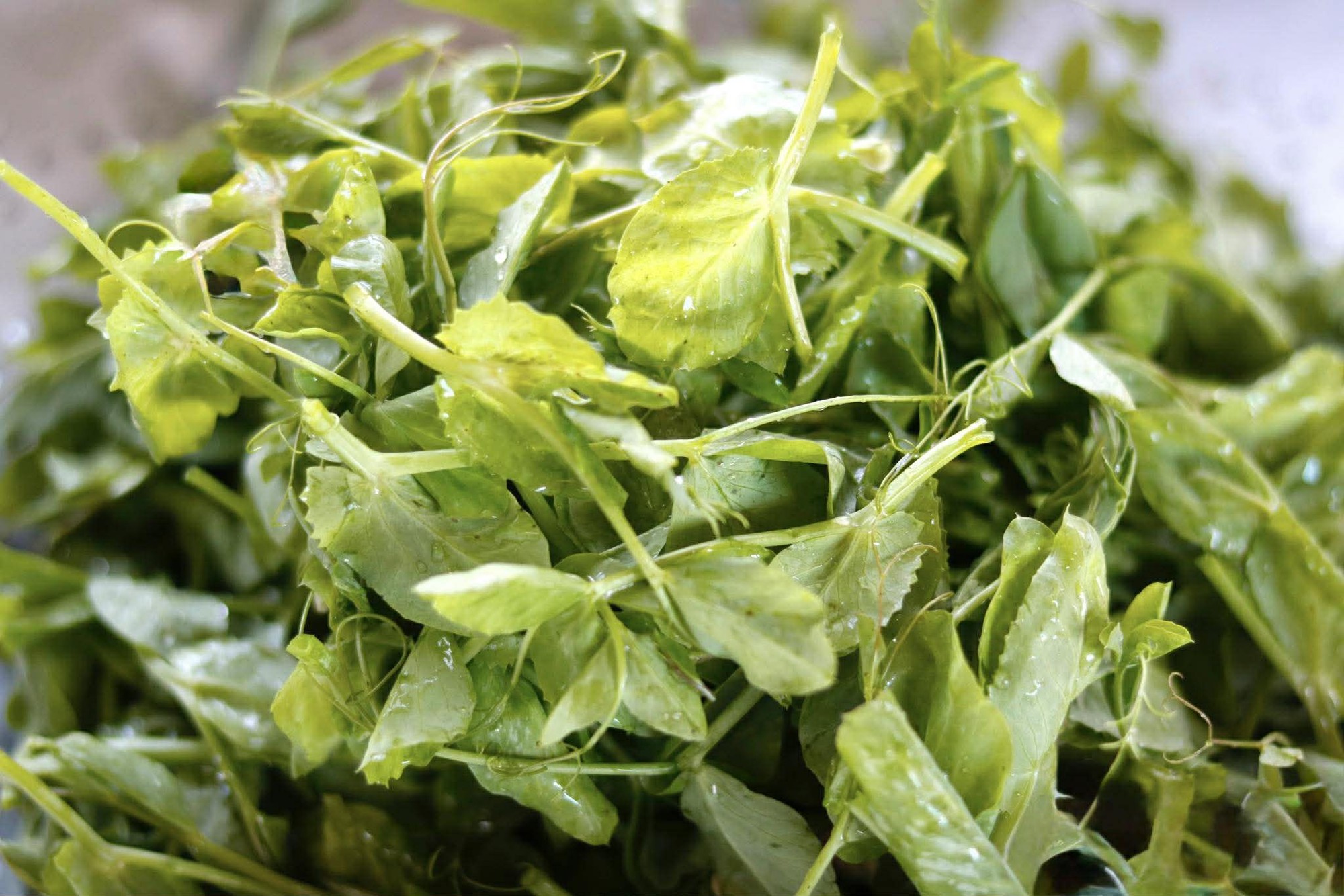 Hôm nay, dù bận đến đâu, đừng quên ăn món canh này: Dễ nấu mà ngon lại giàu dinh dưỡng và giúp chống lạnh- Ảnh 2. Hôm nay, dù bận đến đâu, đừng quên ăn món canh này: Dễ nấu mà ngon lại giàu dinh dưỡng và giúp chống lạnh- Ảnh 2.