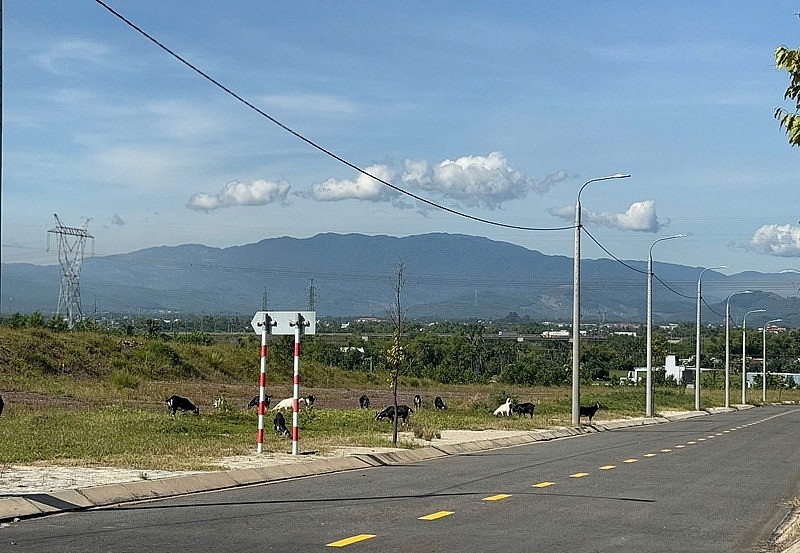 Đà Nẵng: Đẩy nhanh tiến độ đầu tư hạ tầng cụm công nghiệp, tránh lãng phí nguồn lực Đà Nẵng: Đẩy nhanh tiến độ đầu tư hạ tầng cụm công nghiệp, tránh lãng phí nguồn lực