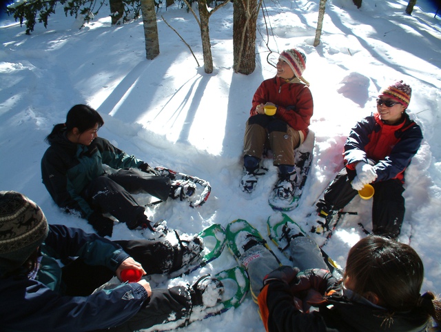 Đến với khu vực Hokkaido và Tohoku – khám phá vẻ đẹp của thiên đường mùa đông miền Bắc Nhật Bản- Ảnh 8.