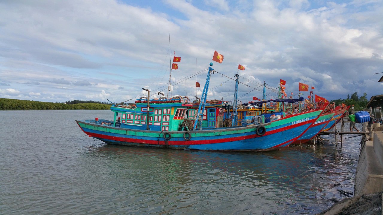 Hoàn thiện khung pháp lý thủy sản để phát triển bền vững Hoàn thiện khung pháp lý thủy sản để phát triển bền vững