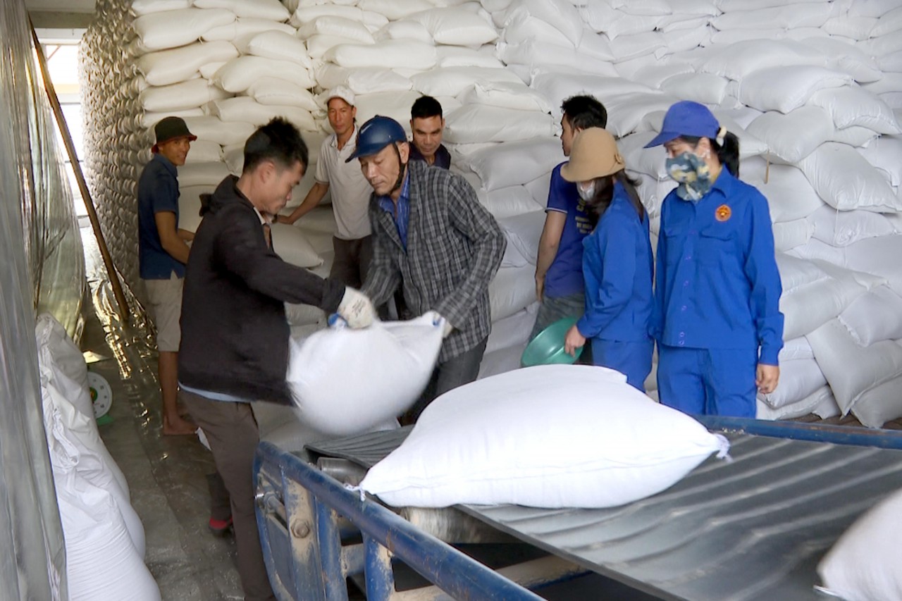 Xuất cấp hơn 920 tấn gạo dự trữ quốc gia hỗ trợ nhân dân tỉnh Lạng Sơn, Tuyên Quang dịp Tết Nguyên đán Bính Ngọ Xuất cấp hơn 920 tấn gạo dự trữ quốc gia hỗ trợ nhân dân tỉnh Lạng Sơn, Tuyên Quang dịp Tết Nguyên đán Bính Ngọ