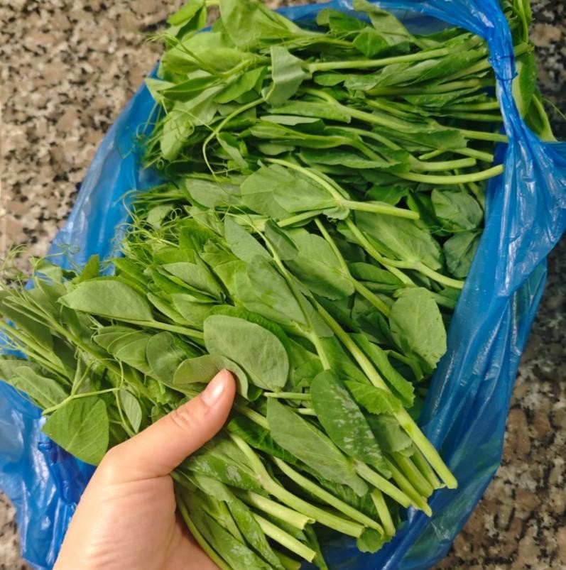 Hôm nay, dù bận đến đâu, đừng quên ăn món canh này: Dễ nấu mà ngon lại giàu dinh dưỡng và giúp chống lạnh- Ảnh 1. Hôm nay, dù bận đến đâu, đừng quên ăn món canh này: Dễ nấu mà ngon lại giàu dinh dưỡng và giúp chống lạnh- Ảnh 1.