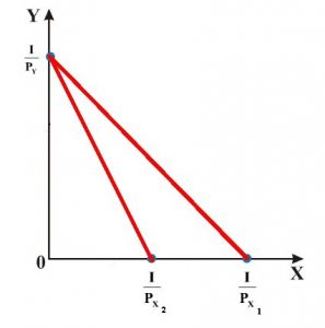 ngan sach nguoi tieu dung 03