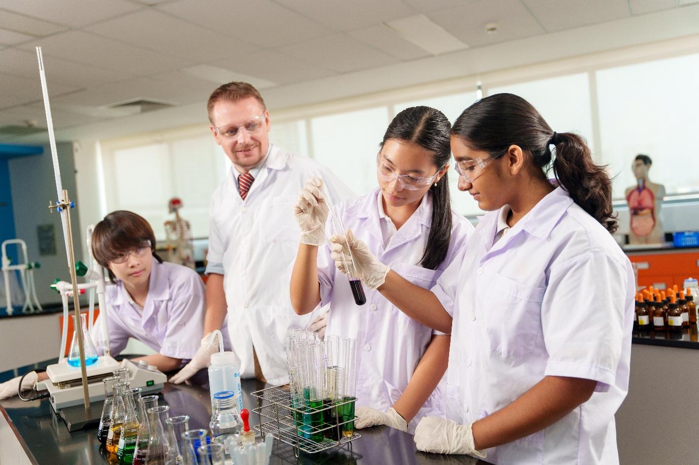 Trường Quốc tế Châu Âu TP.HCM chính thức đạt kiểm định quốc tế WASC- Ảnh 1.