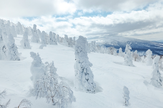 Đến với khu vực Hokkaido và Tohoku – khám phá vẻ đẹp của thiên đường mùa đông miền Bắc Nhật Bản- Ảnh 11.