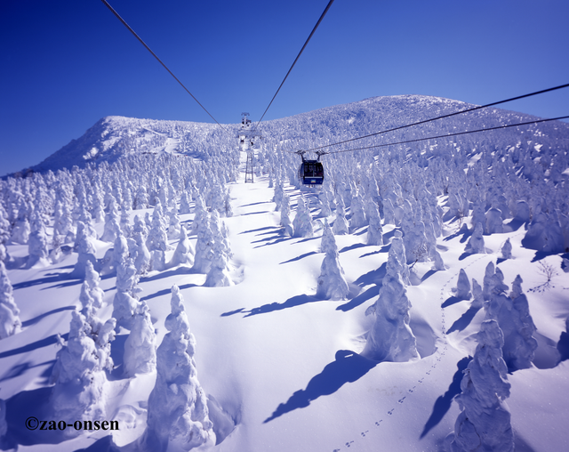 Đến với khu vực Hokkaido và Tohoku – khám phá vẻ đẹp của thiên đường mùa đông miền Bắc Nhật Bản- Ảnh 17.