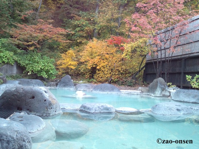 Đến với khu vực Hokkaido và Tohoku – khám phá vẻ đẹp của thiên đường mùa đông miền Bắc Nhật Bản- Ảnh 15.