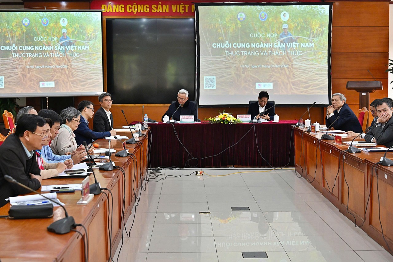 Thúc đẩy truy xuất nguồn gốc sắn, đáp ứng yêu cầu của thị trường quốc tế Thúc đẩy truy xuất nguồn gốc sắn, đáp ứng yêu cầu của thị trường quốc tế