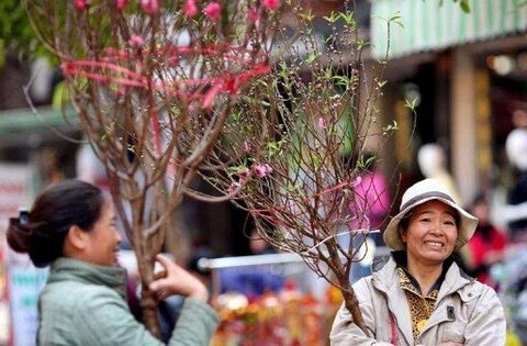 Thông tin mới nhất về thời tiết Tết Nguyên đán trên cả nước: Liệu còn cảnh rét cắt da cắt thịt?