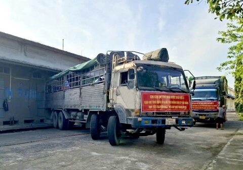 Xuất cấp hơn 1.685 tấn gạo dự trữ hỗ trợ nhân dân Đà Nẵng, An Giang dịp Tết Bính Ngọ