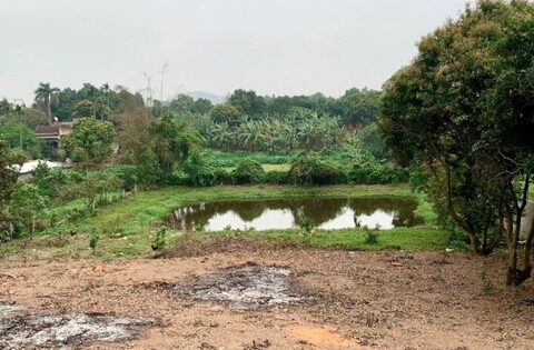 Bộ NN&MT phản hồi về việc xin “lên thổ cư” 500m2 đất vườn mua giấy tờ xã từ năm 1995