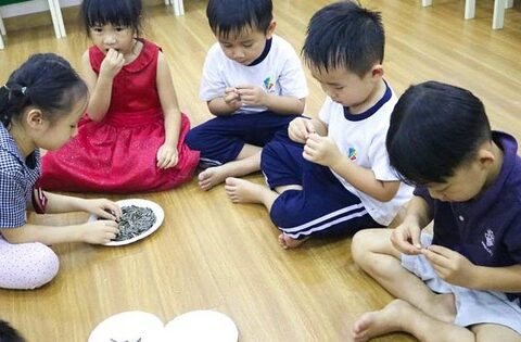 Vì sao hạt dưa, hạt hướng dương dễ gây hóc ở trẻ dịp Tết?