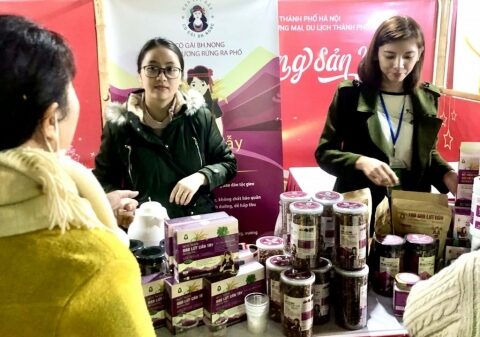 Sức mua thực phẩm, hàng du xuân tăng rõ, giá không biến động lớn