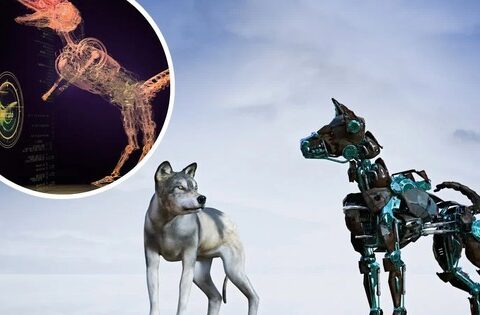 Kỳ tích công nghệ: Trí tuệ nhân tạo tự phát triển thị giác cho sinh vật ảo giống hệt quá trình tiến hóa tự nhiên