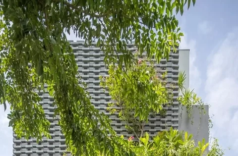 Thiết kế nhà ống với hệ vỏ nhiệt đới