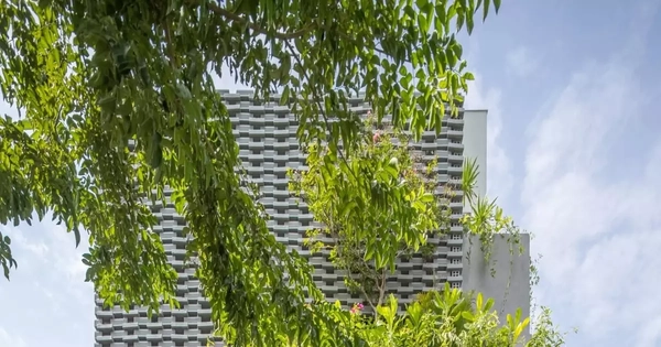 Thiết kế nhà ống với hệ vỏ nhiệt đới