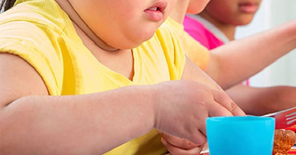 Bé 5 tuổi béo phì có nên giảm ăn, bỏ bữa sáng không?