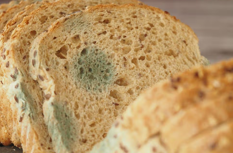 Ăn bánh mì mốc có sao không? 3 chuyên gia lên tiếng, câu trả lời khiến nhiều người rùng mình