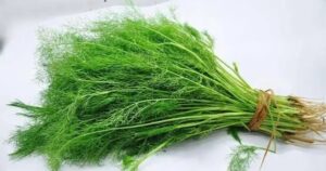 Rau thì là có gây suy thận? Các bác sĩ cảnh báo: Để tránh tổn thương thận, hãy ăn ít 3 loại rau này