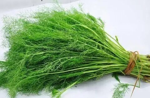 Rau thì là có gây suy thận? Các bác sĩ cảnh báo: Để tránh tổn thương thận, hãy ăn ít 3 loại rau này