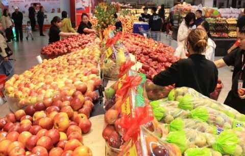 Dự báo giá cả từ mùng 6 Tết trở đi: Áp lực cục bộ, xu hướng chung ổn định