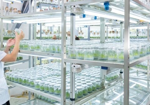 VINAFOR: Bản lĩnh doanh nghiệp nhà nước trong hành trình xanh hóa nền kinh tế