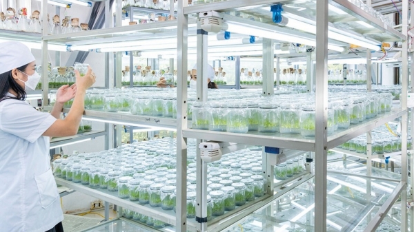 VINAFOR: Bản lĩnh doanh nghiệp nhà nước trong hành trình xanh hóa nền kinh tế