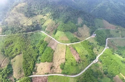 Hơn 2.350 tỷ đồng nâng cấp Quốc lộ ở Quảng Ngãi, giải bài toán đèo Vi Ô Lắk
