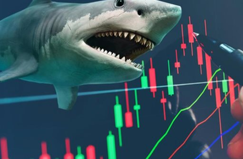 Khối quỹ ngoại cơ cấu danh mục ra sao trước kỳ nghỉ Tết?