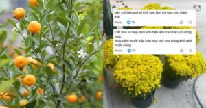 Chớ dại mà tận dụng những thứ này sau Tết kẻo ngộ độc, rước họa vào thân