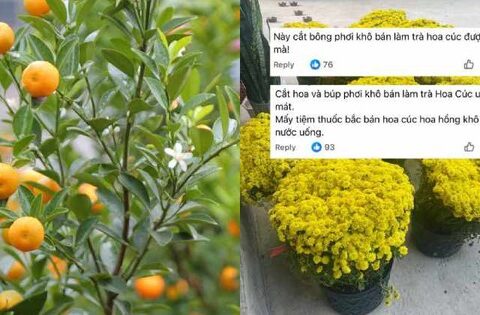 Chớ dại mà tận dụng những thứ này sau Tết kẻo ngộ độc, rước họa vào thân