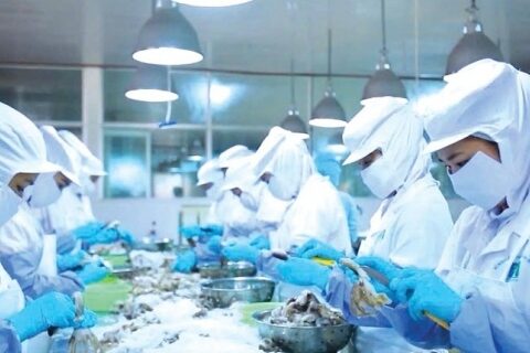 Doanh nghiệp vượt khó, Tết ấm no nhờ “bệ đỡ” tài chính công