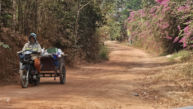 Ám ảnh với bụi đất đỏ khi đi qua đường Lò Lu ở phường Chánh Hiệp, TPHCM- Ảnh 3.